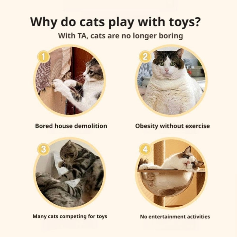 Interactive Cat Toy Automatic Chasing Play