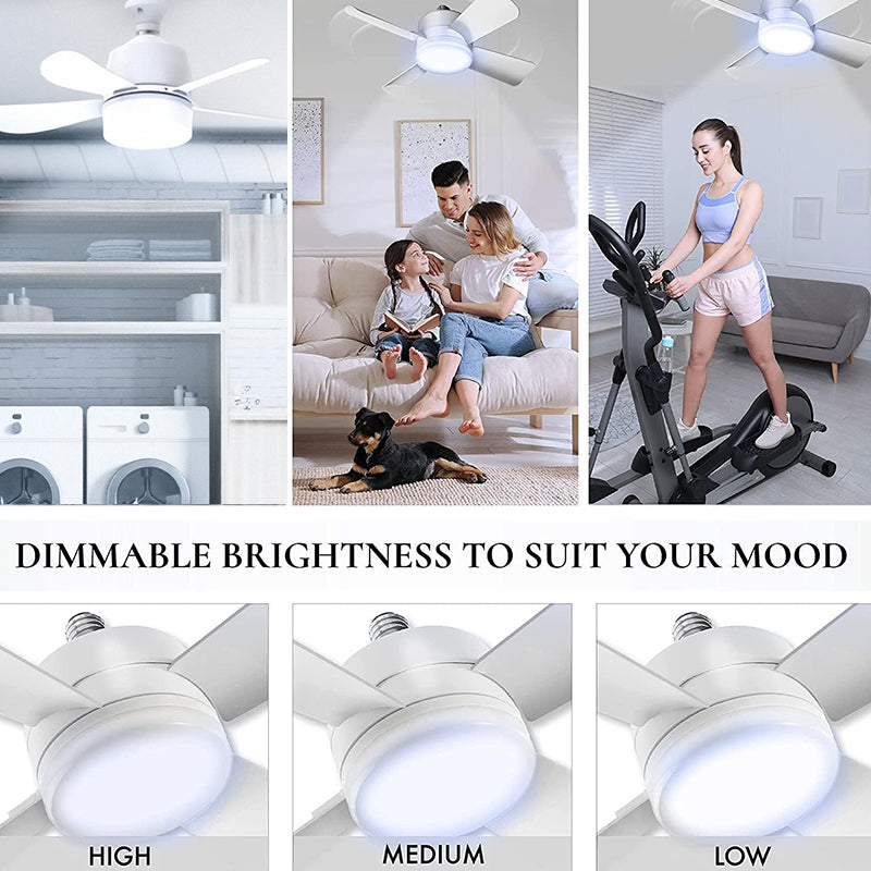 Ceiling Fan Light With Remote Control
