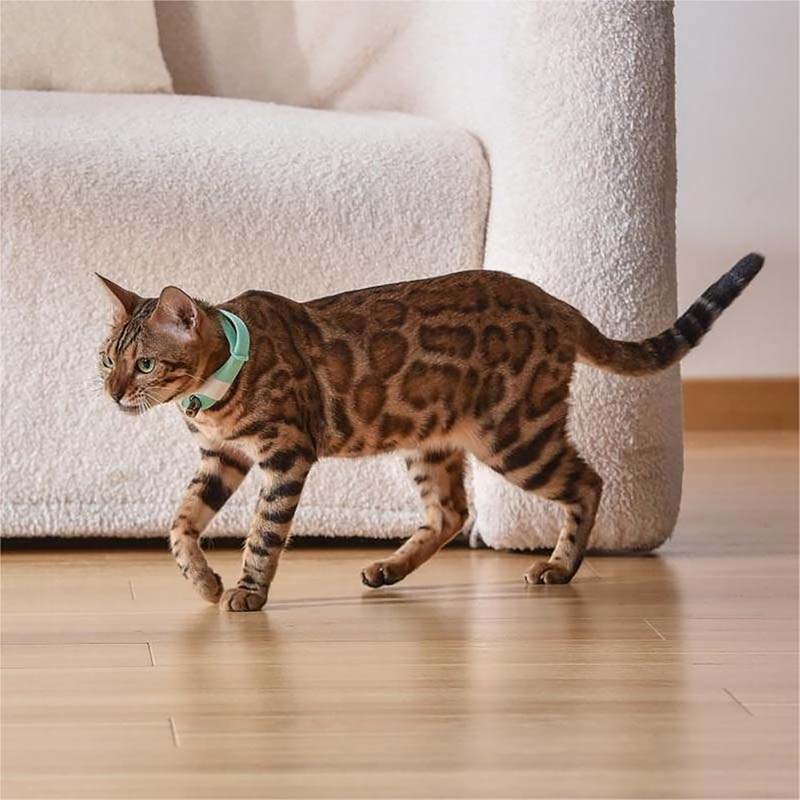 Automatic Cat Laser Collar Toy