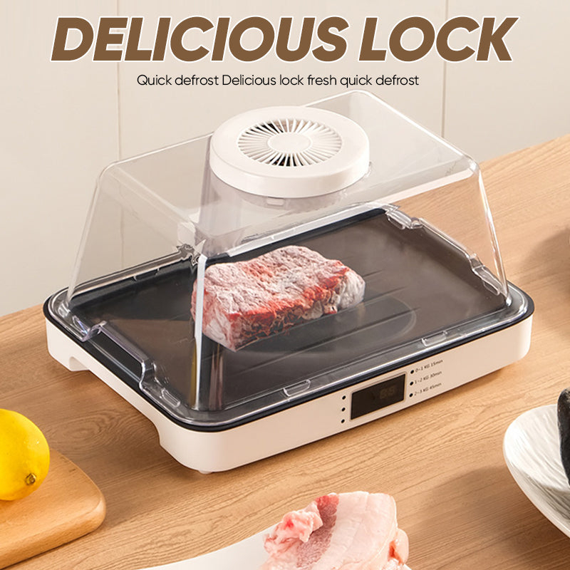 Household Defrosting Machine