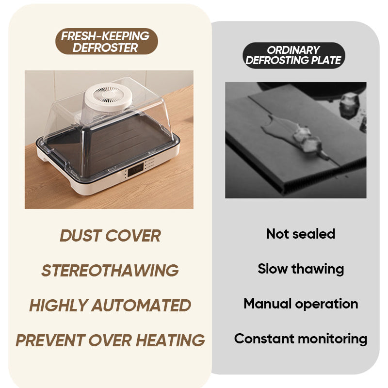 Household Defrosting Machine