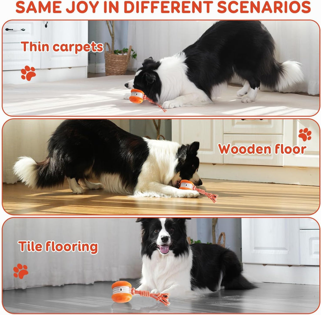Interactive Automatic Dog Toy Ball
