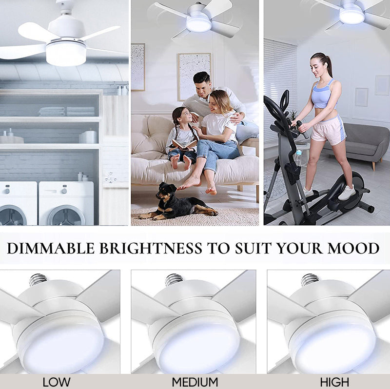 Ceiling Fan Light With Remote Control