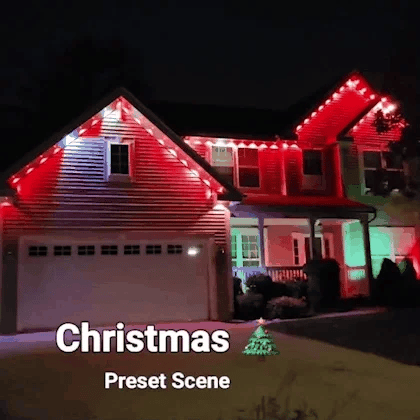 Permanent Outdoor Lights