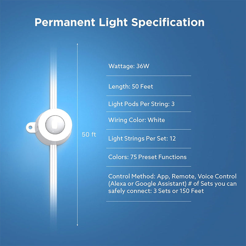 Permanent Outdoor Lights