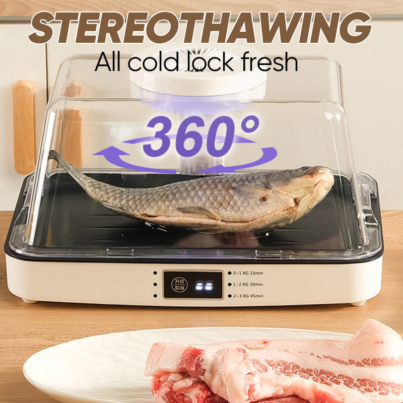 Household Defrosting Machine