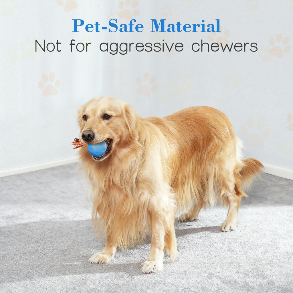 Interactive Automatic Dog Toy Ball