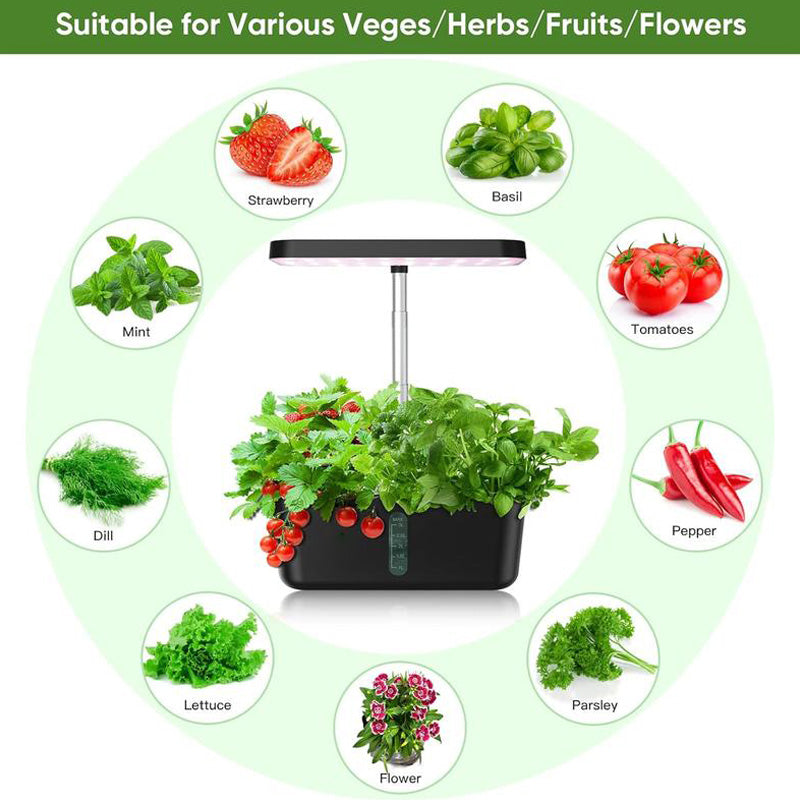Indoor Garden Hydroponics Growing System