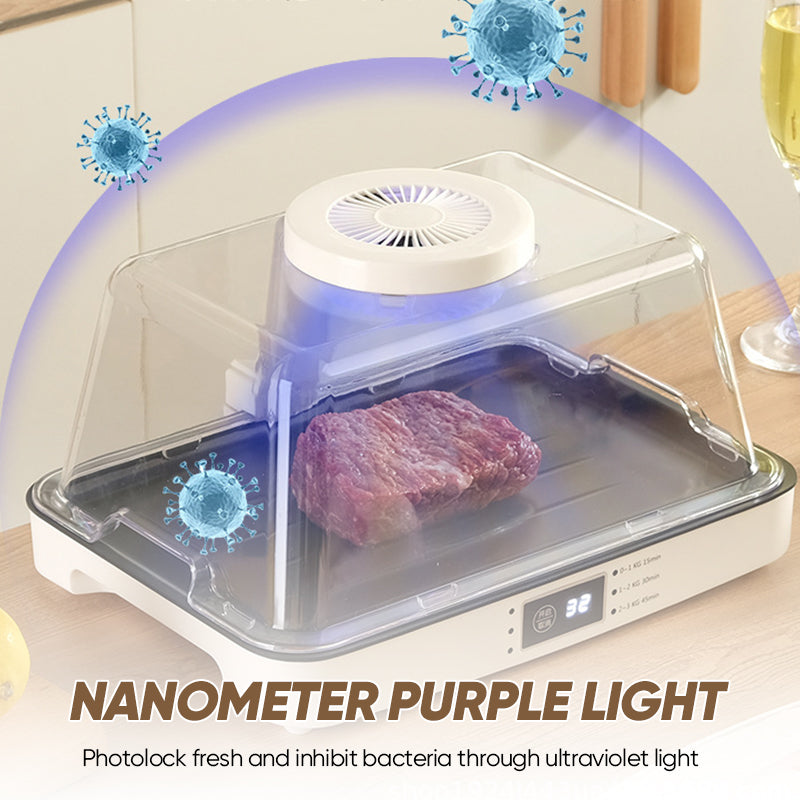 Household Defrosting Machine