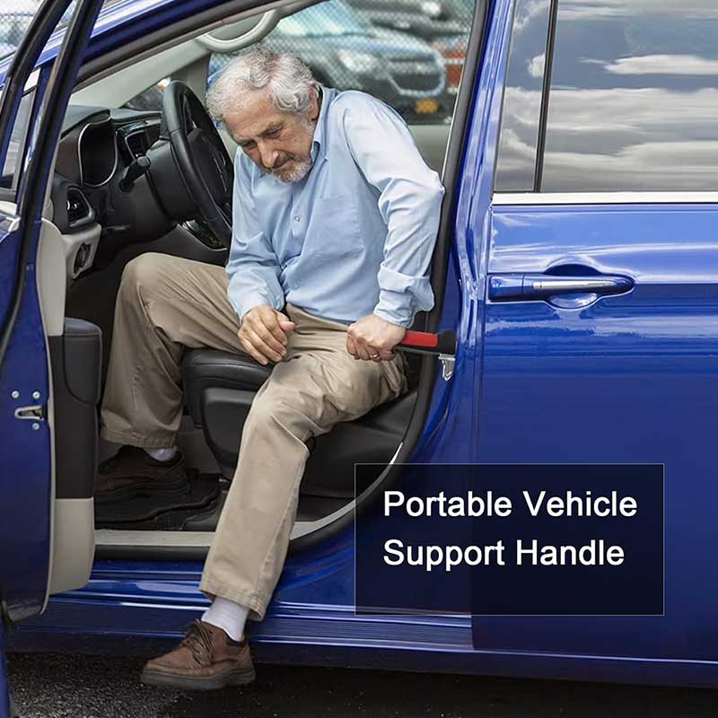 3 in 1 Vehicle Support Handles