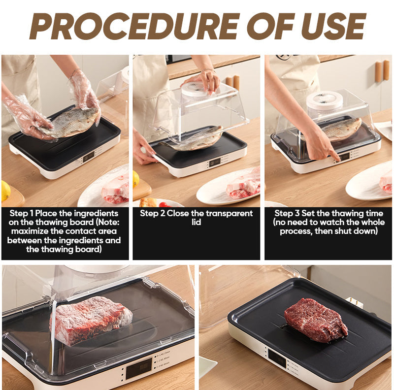 Household Defrosting Machine