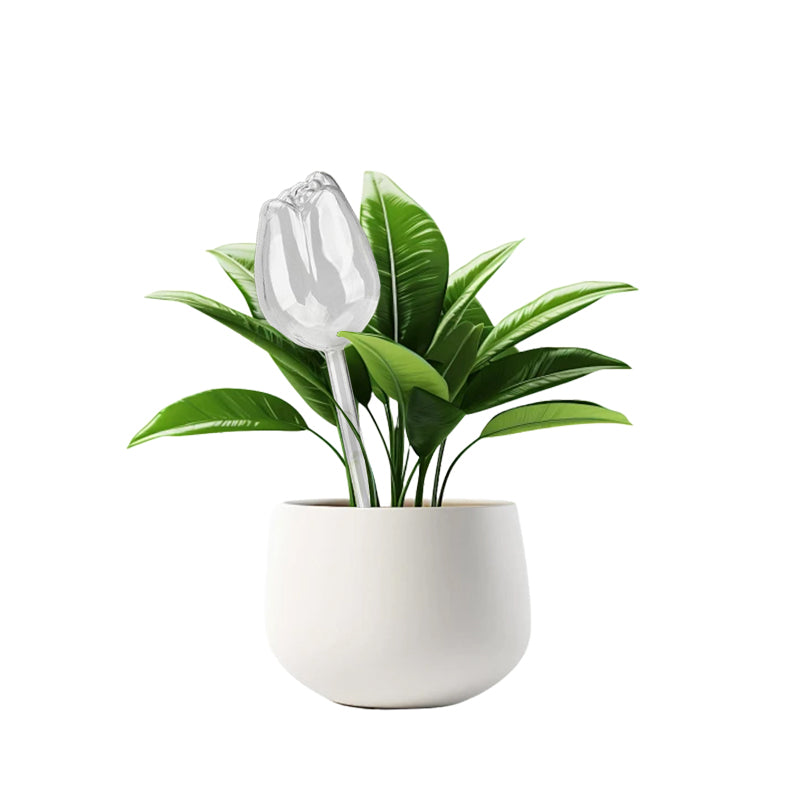Self Watering Globes For Plants