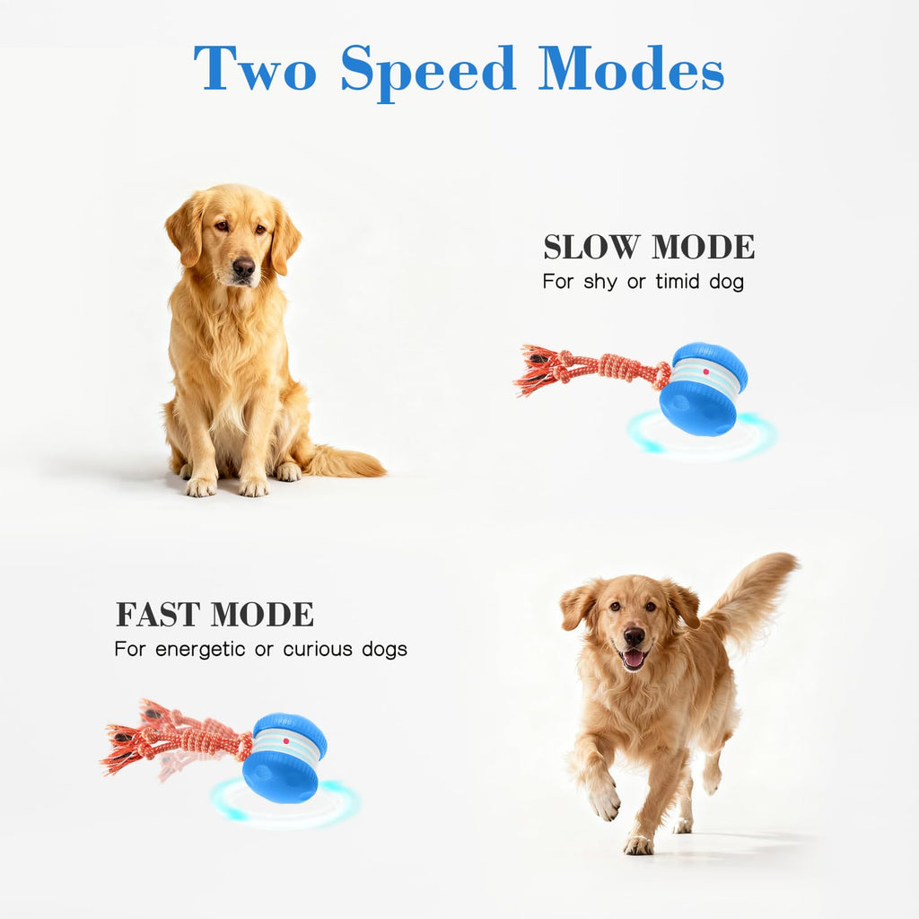 Interactive Automatic Dog Toy Ball