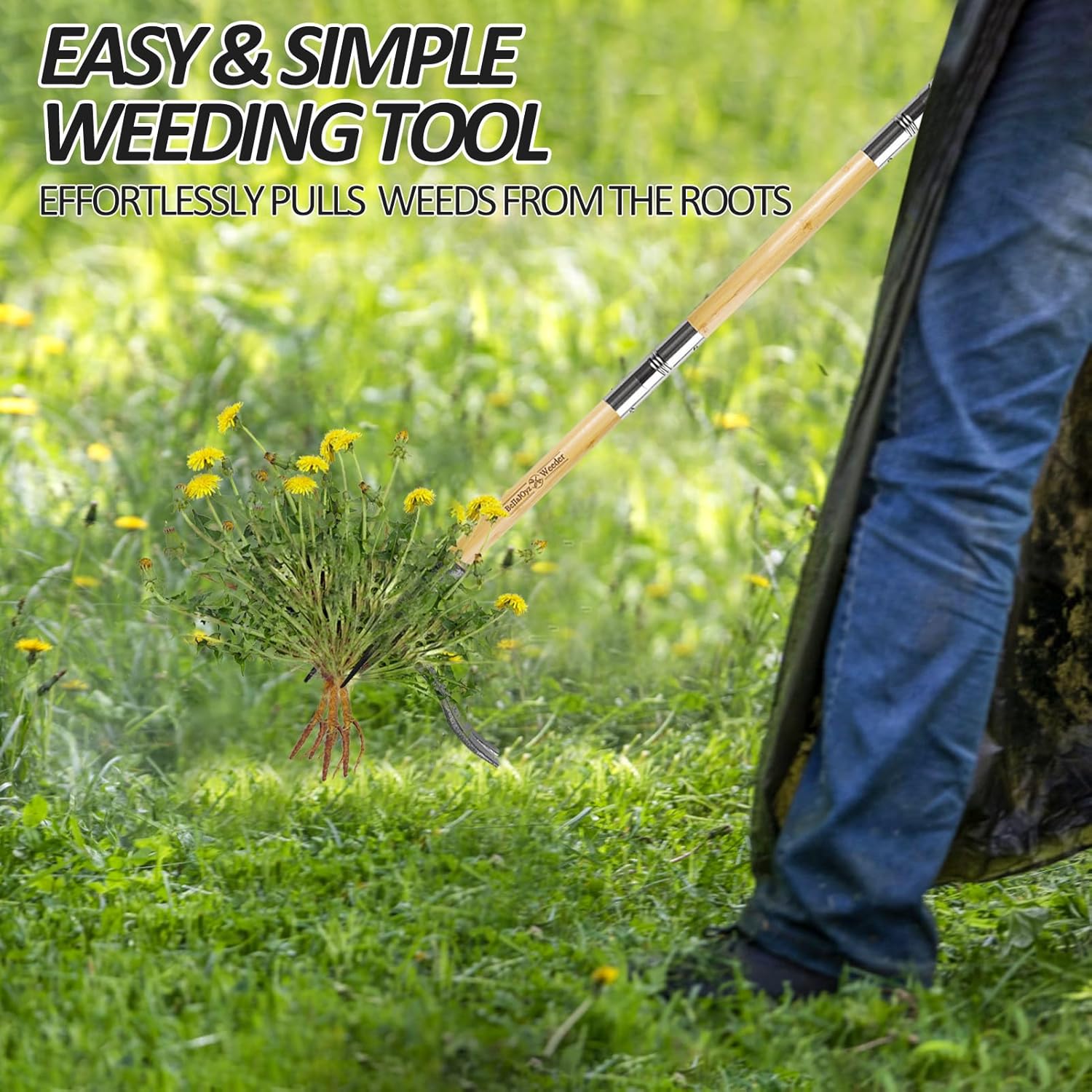 Weeder Tool