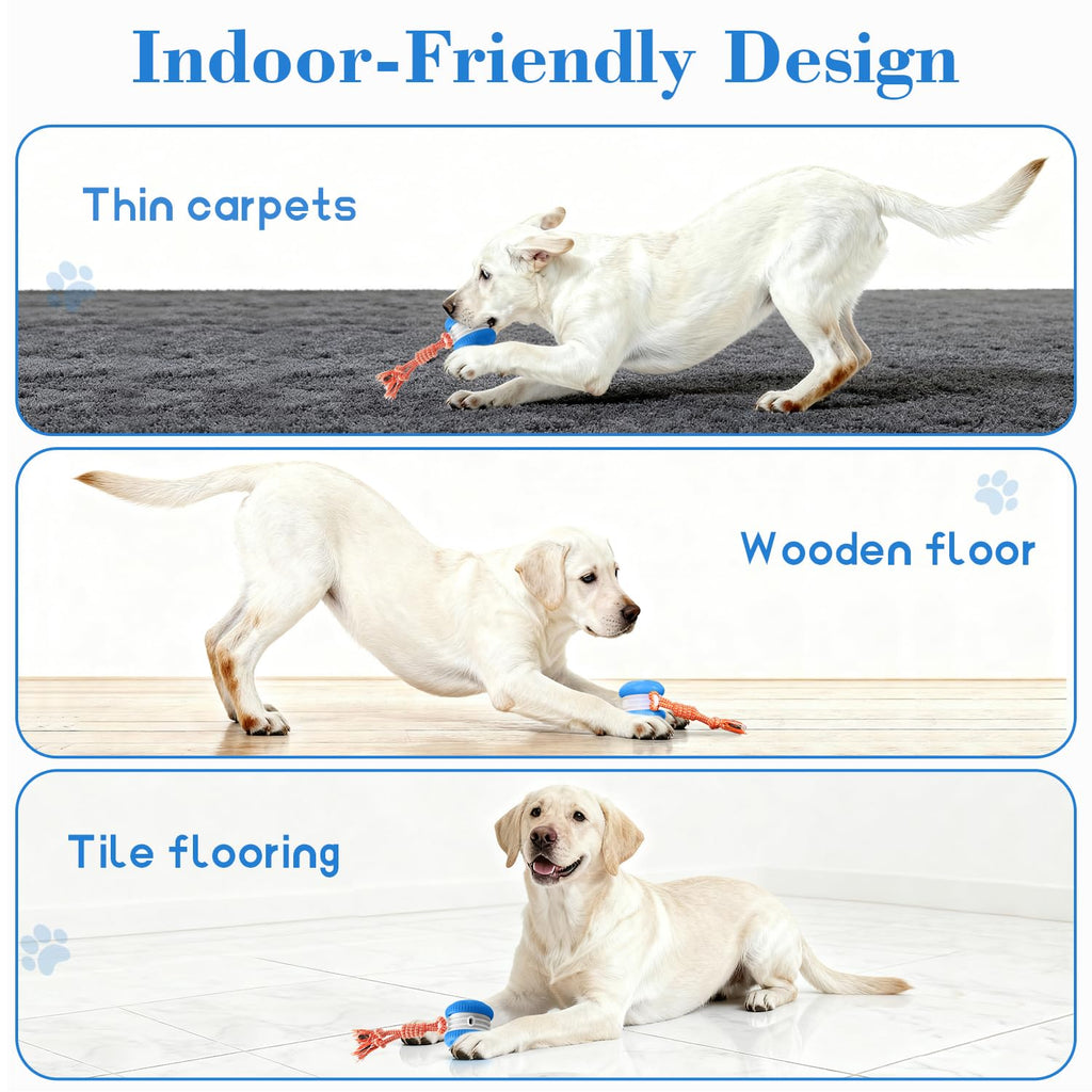 Interactive Automatic Dog Toy Ball