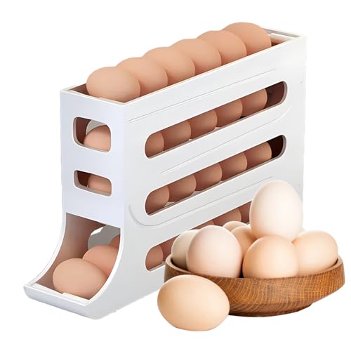 Refrigerator Egg Storage Box