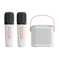 Mini Portable Karaoke Speaker Set