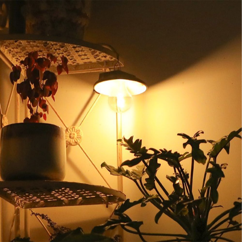 Solar Pendant Light with Motion Sensor