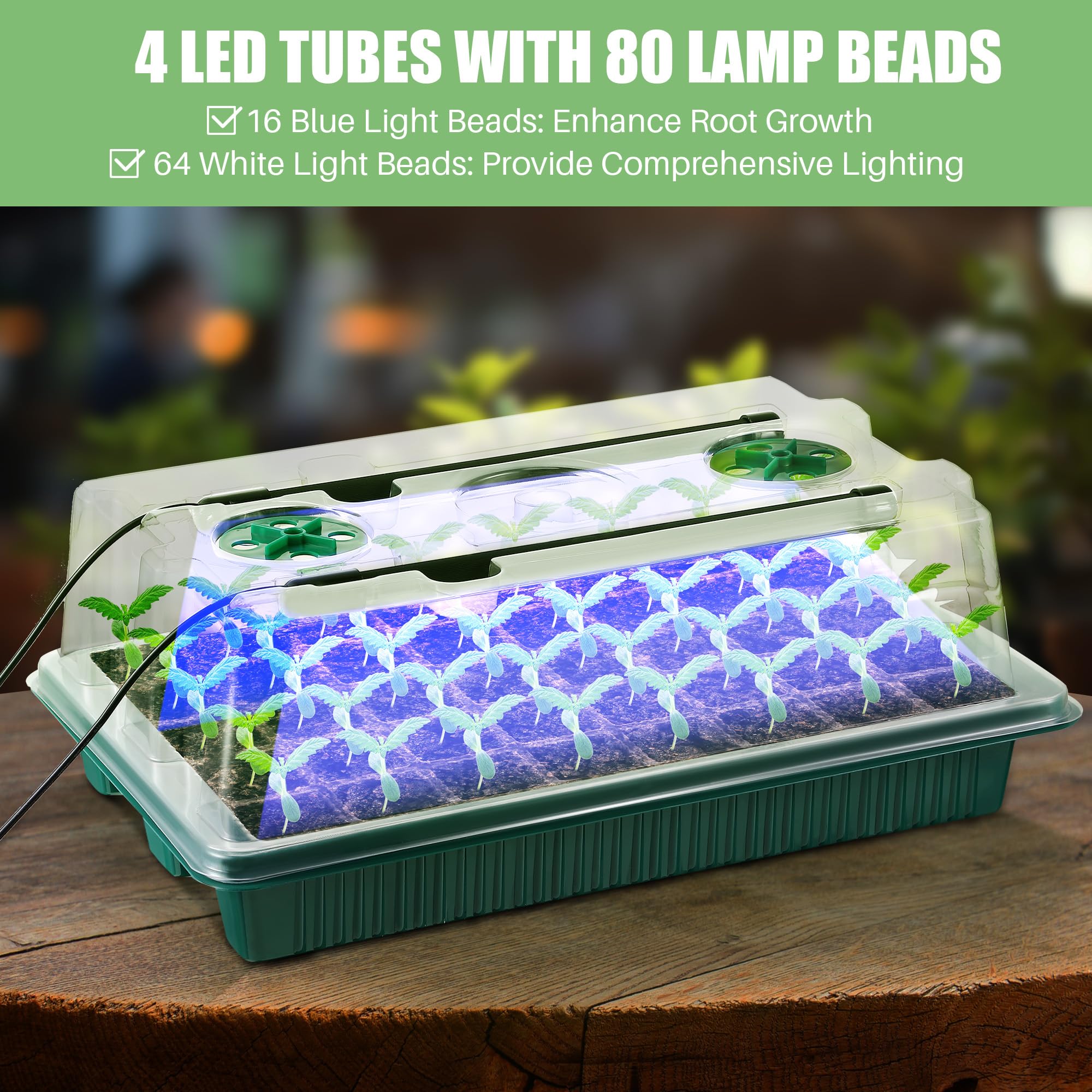 2 Pack Seed Starter Tray with Grow Light