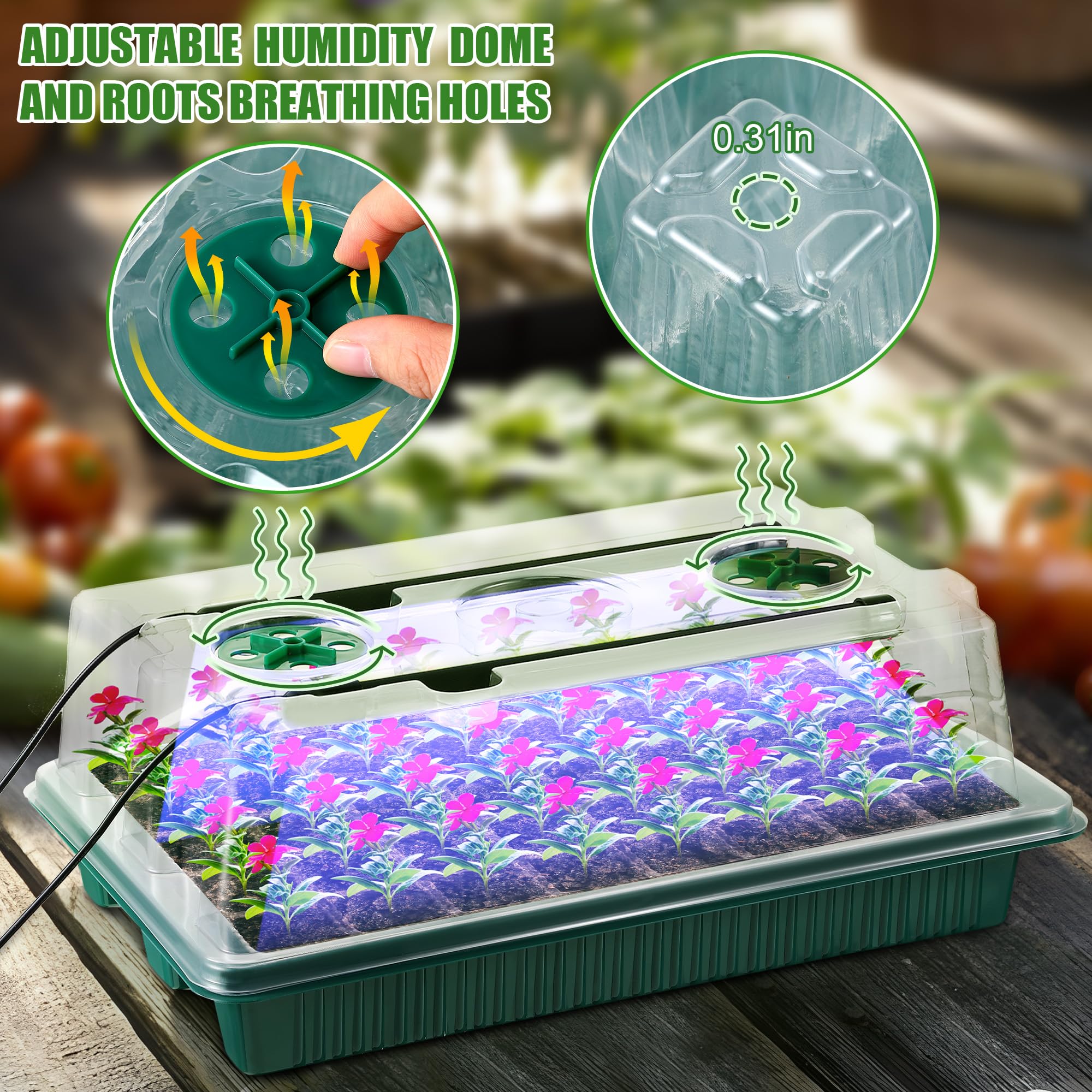 2 Pack Seed Starter Tray with Grow Light