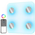 Smart Body Fat Scale
